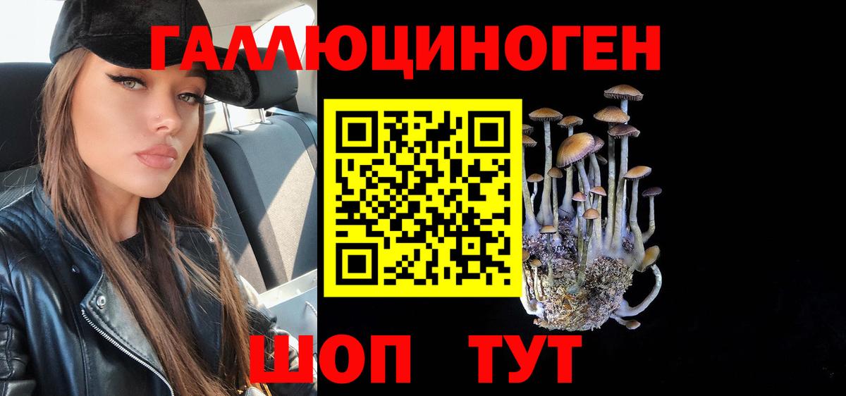 Псилоцибиновые грибы прущие грибы Гудермес